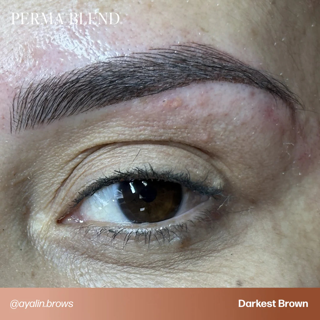 Eyebrow Pigment – Perma Blend Darkest Brown 15ml | Permanent Makeup SPMU Eyebrow Ink for Microblading, Ombré Brows & Powder Brows | Professional Brown Brow Pigment