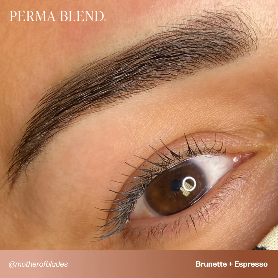 Eyebrow Pigment Set – Perma Blend Signature Eyebrow Set 8x15ml | Professional PMU Brow Pigments for Permanent Makeup, Brow Tattooing & Cosmetic Tattoo Artists