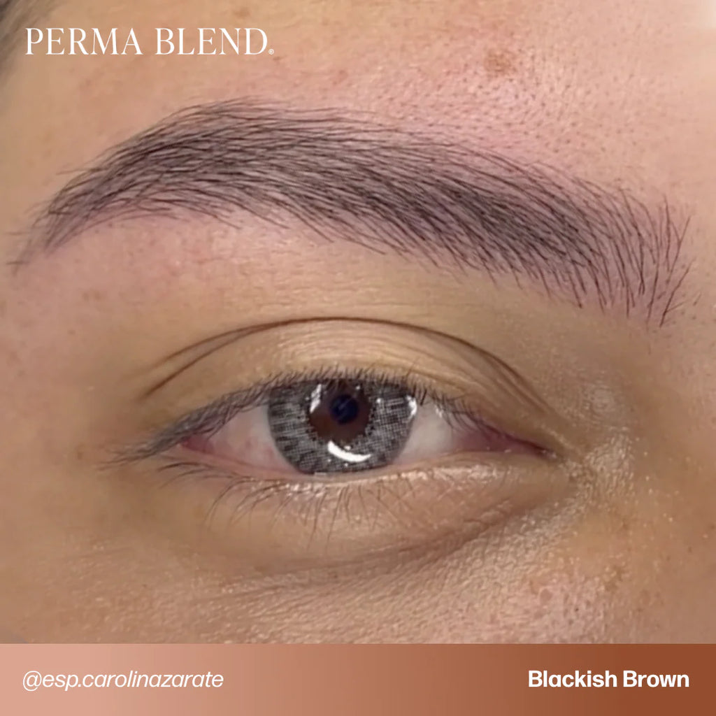 Eyebrow Pigment Set – Perma Blend Signature Eyebrow Set 8x15ml | Professional PMU Brow Pigments for Permanent Makeup, Brow Tattooing & Cosmetic Tattoo Artists