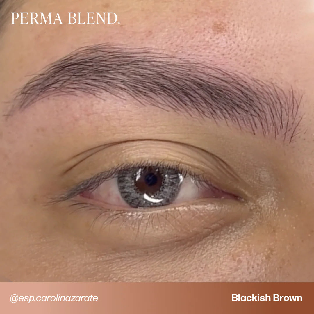Eyebrow Pigment Set – Perma Blend Signature Eyebrow Set 8x15ml | Professional PMU Brow Pigments for Permanent Makeup, Brow Tattooing & Cosmetic Tattoo Artists