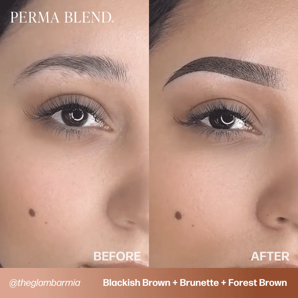 Eyebrow Pigment Set – Perma Blend Signature Eyebrow Set 8x15ml | Professional PMU Brow Pigments for Permanent Makeup, Brow Tattooing & Cosmetic Tattoo Artists