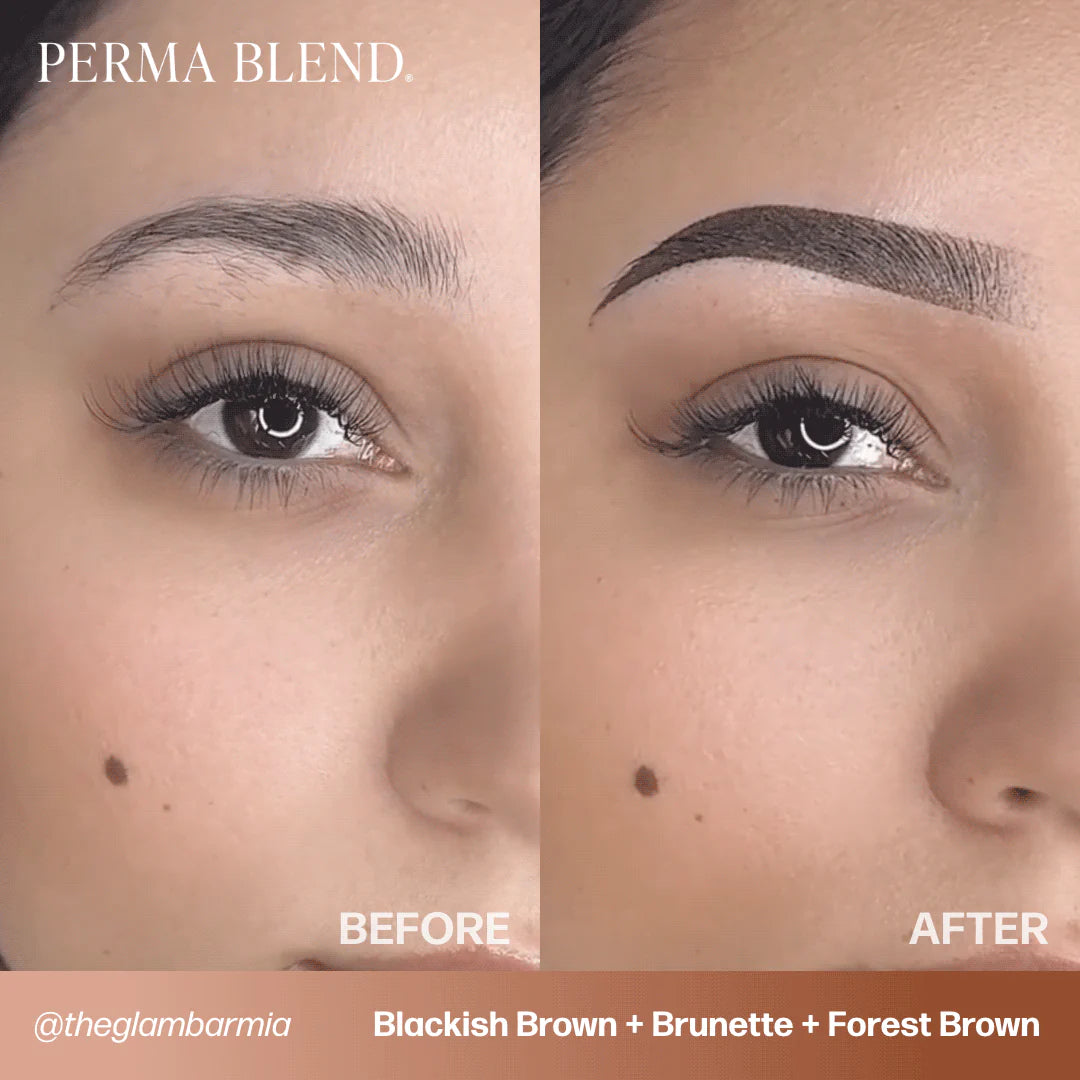 Eyebrow Pigment Set – Perma Blend Signature Eyebrow Set 8x15ml | Professional PMU Brow Pigments for Permanent Makeup, Brow Tattooing & Cosmetic Tattoo Artists