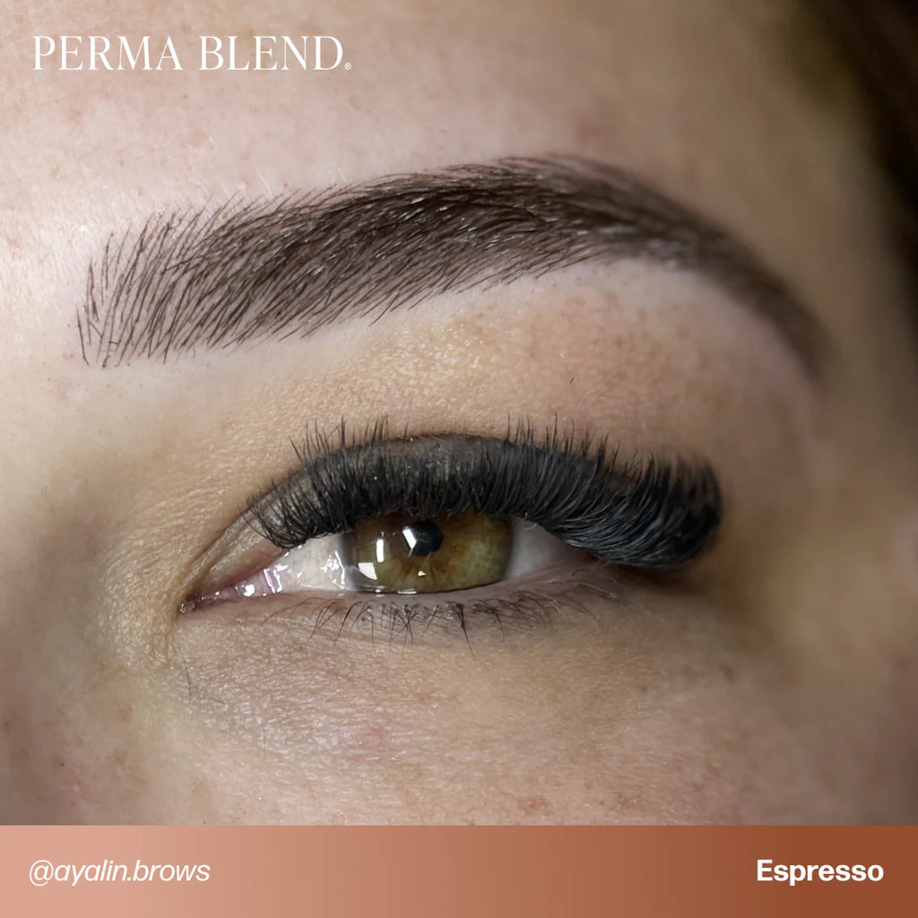 Eyebrow Pigment Set – Perma Blend Signature Eyebrow Set 8x15ml | Professional PMU Brow Pigments for Permanent Makeup, Brow Tattooing & Cosmetic Tattoo Artists