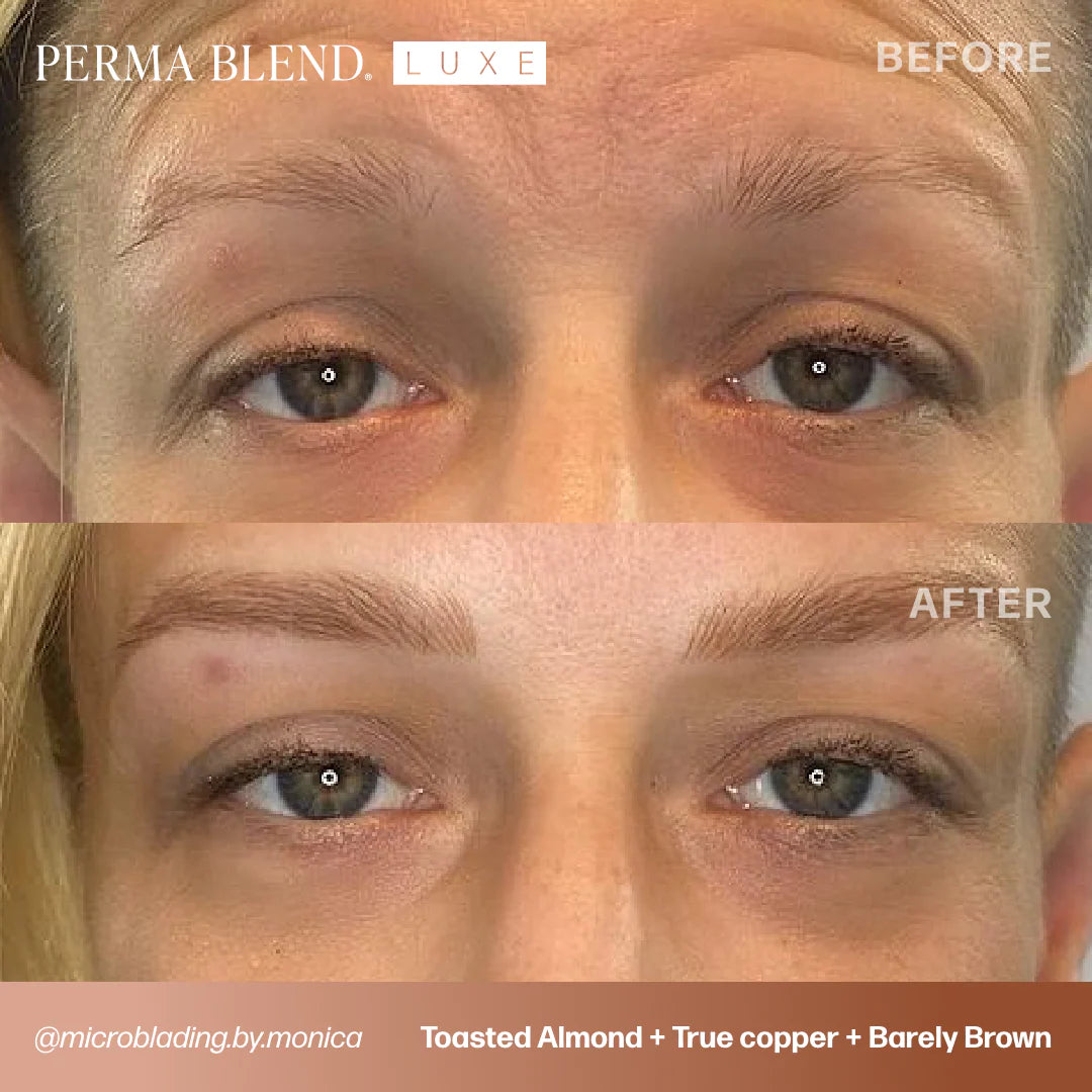 Eyebrow Pigment – Perma Blend LUXE Barely Brown 15ml | Permanent Makeup SPMU Eyebrow Ink for Microblading, Ombré Brows & Powder Brows | Cool Brown Professional Pigment