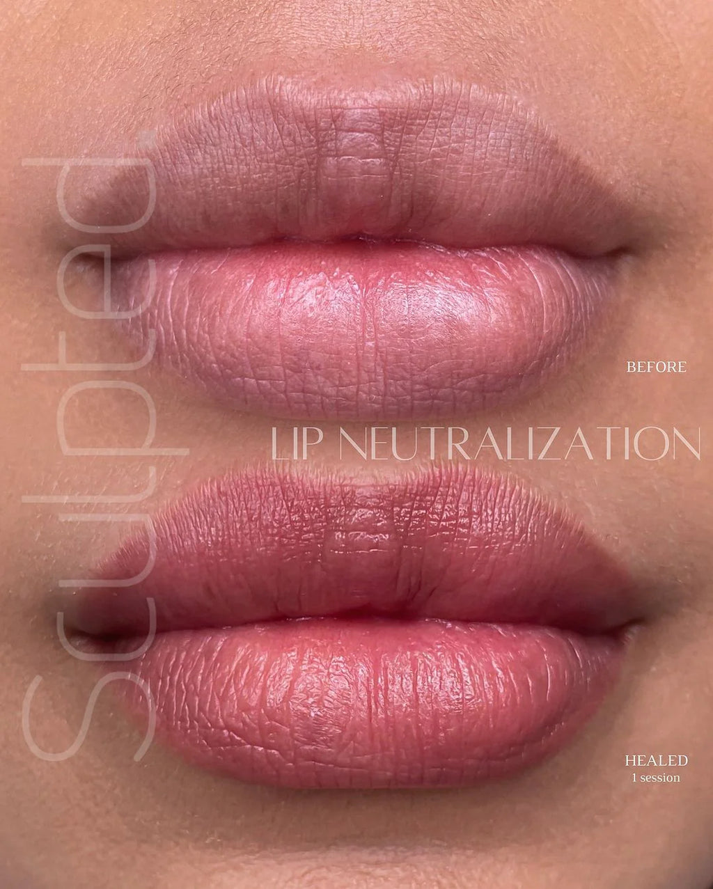 Lip Pigment – Perma Blend LUXE Gin 15ml | Carla Ricciardone Enhance Set Single Lip Color | Embody Lip Shades Collection PMU Lip Blush Pigment for Permanent Makeup & Lip Tattoo