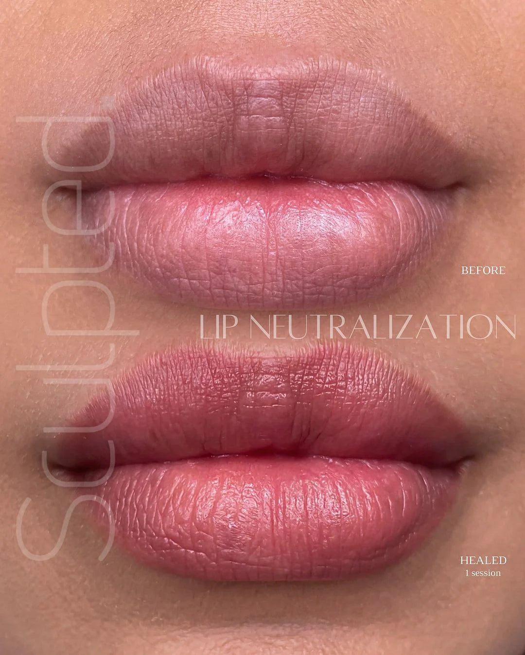 Lip Pigment – Perma Blend LUXE Gin 15ml | Carla Ricciardone Enhance Set Single Lip Color | Embody Lip Shades Collection PMU Lip Blush Pigment for Permanent Makeup & Lip Tattoo