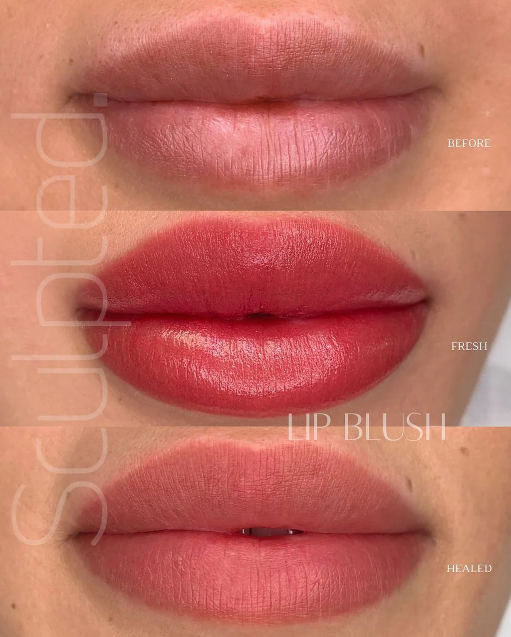 Lip Pigment – Perma Blend LUXE Gin 15ml | Carla Ricciardone Enhance Set Single Lip Color | Embody Lip Shades Collection PMU Lip Blush Pigment for Permanent Makeup & Lip Tattoo