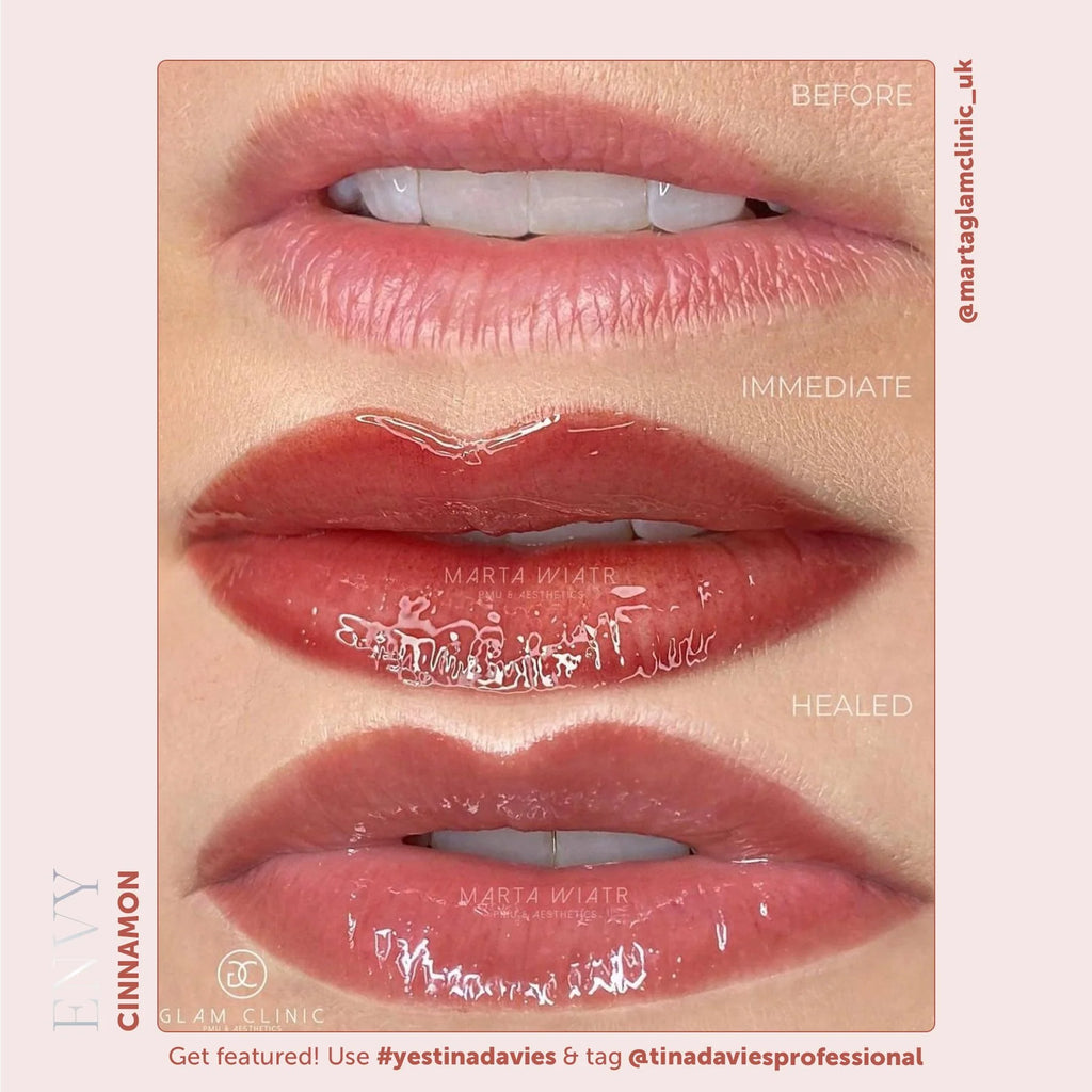 Tina Davies Envy Lip Pigment Collection 6 x 15 ml  – Professional PMU Lip Blush, Lip Neutralization & Cosmetic Tattoo Pigment Set for Permanent Makeup Artists