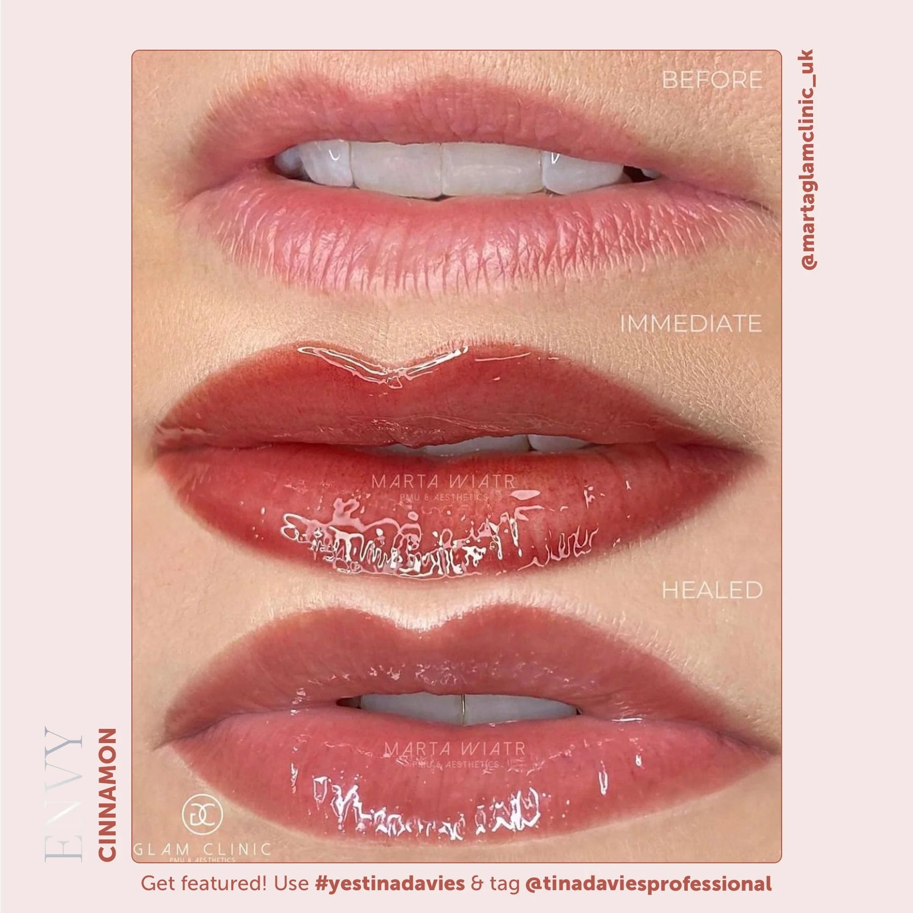 Tina Davies Envy Lip Pigment Collection 6 x 15 ml  – Professional PMU Lip Blush, Lip Neutralization & Cosmetic Tattoo Pigment Set for Permanent Makeup Artists