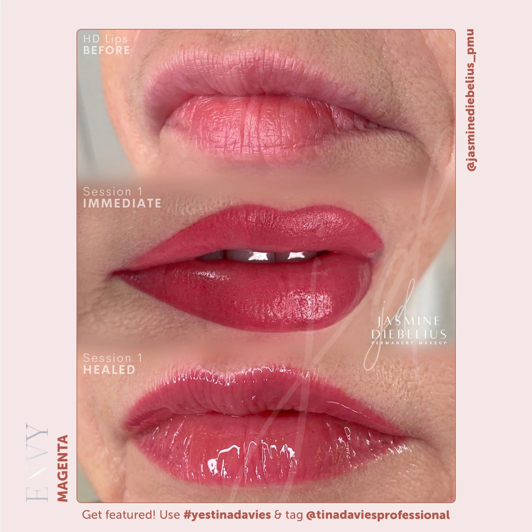 Tina Davies Envy Lip Pigment Collection 6 x 15 ml  – Professional PMU Lip Blush, Lip Neutralization & Cosmetic Tattoo Pigment Set for Permanent Makeup Artists