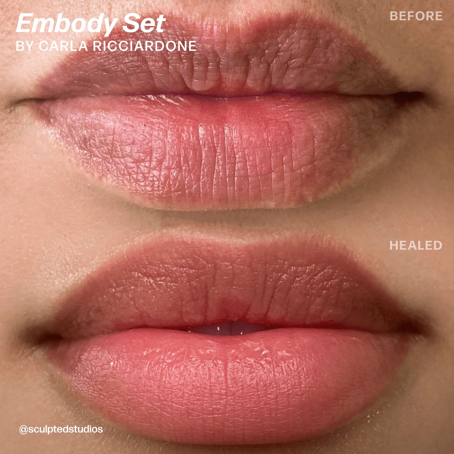 Lip Pigment Set – Perma Blend LUXE Embody Set 8x15ml by Sculpted (Carla Ricciardone) | Lip Blush Pigment Set, Lip Tattoo Ink, SPMU Lip Color, Semi Permanent Makeup Lip Shades