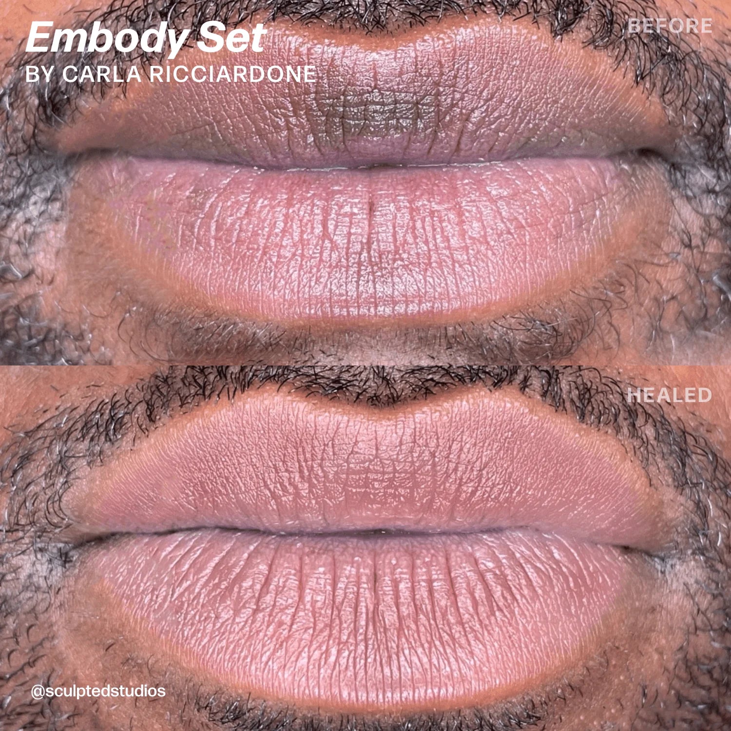 Lip Pigment Set – Perma Blend LUXE Embody Set 8x15ml by Sculpted (Carla Ricciardone) | Lip Blush Pigment Set, Lip Tattoo Ink, SPMU Lip Color, Semi Permanent Makeup Lip Shades