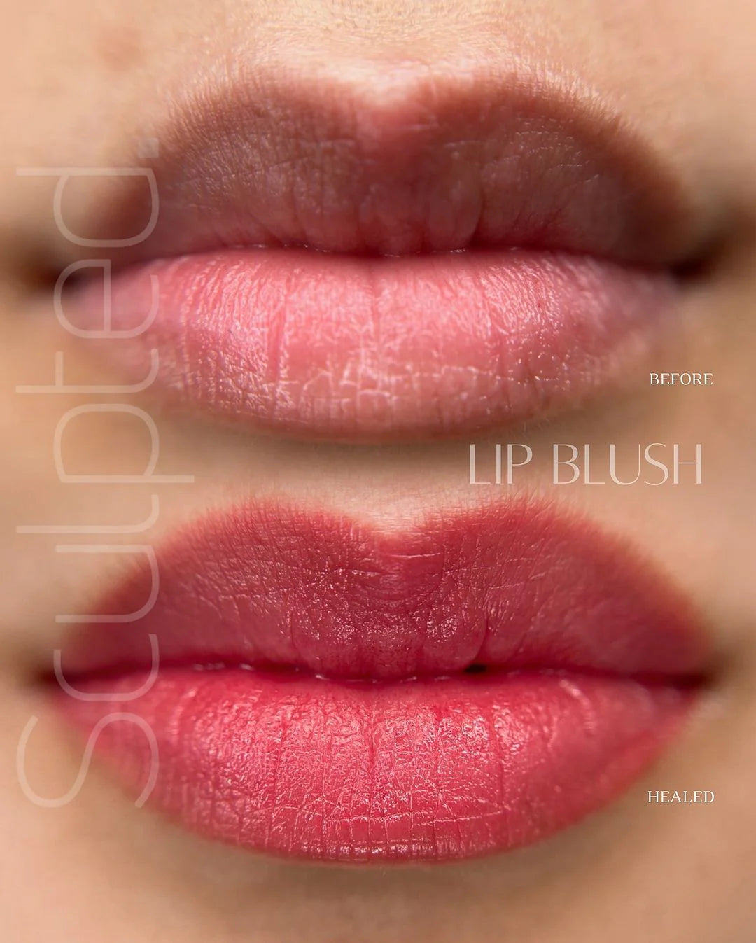 Lip Pigment – Perma Blend LUXE Lip Pigment Popi (Carla Ricciardone Enhance) 15ml | Lip Blush Pigment, Lip Tattoo Ink, SPMU Lip Color, Semi Permanent Makeup Lip Shade
