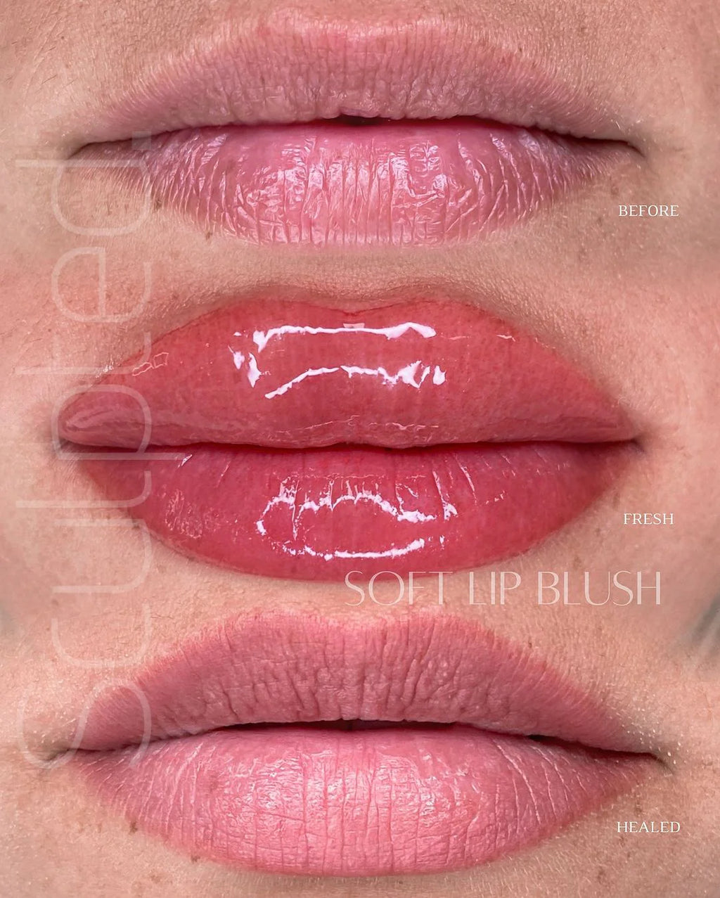Lip Pigment – Perma Blend LUXE Lip Pigment Popi (Carla Ricciardone Enhance) 15ml | Lip Blush Pigment, Lip Tattoo Ink, SPMU Lip Color, Semi Permanent Makeup Lip Shade