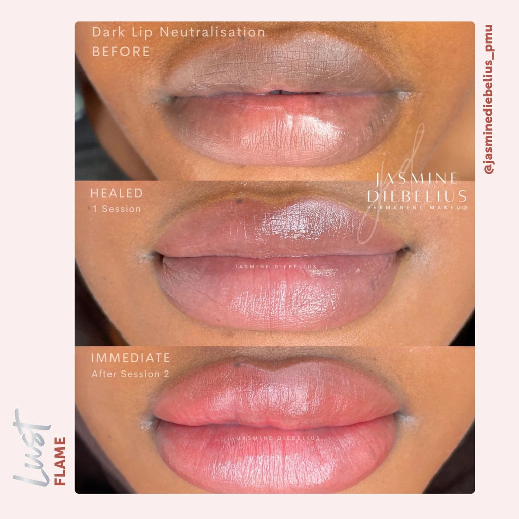 Tina Davies x Perma Blend Lust Lip Pigment Collection 6x15ml – Professional PMU Lip Blush Pigment Set