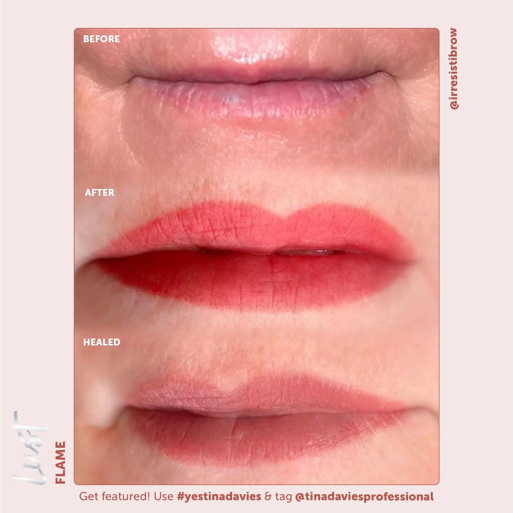 Tina Davies x Perma Blend Lust Lip Pigment Collection 6x15ml – Professional PMU Lip Blush Pigment Set