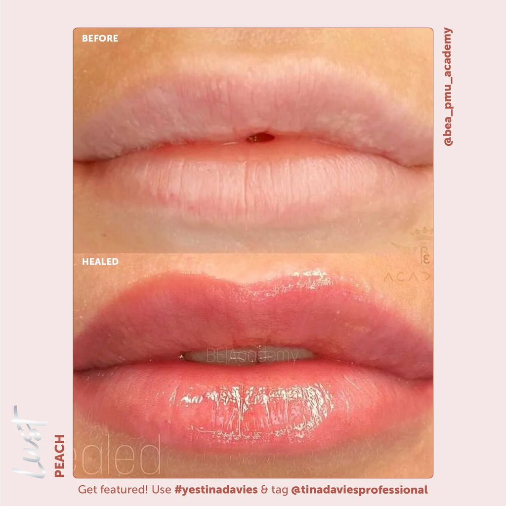 Tina Davies x Perma Blend Lust Lip Pigment Collection 6x15ml – Professional PMU Lip Blush Pigment Set