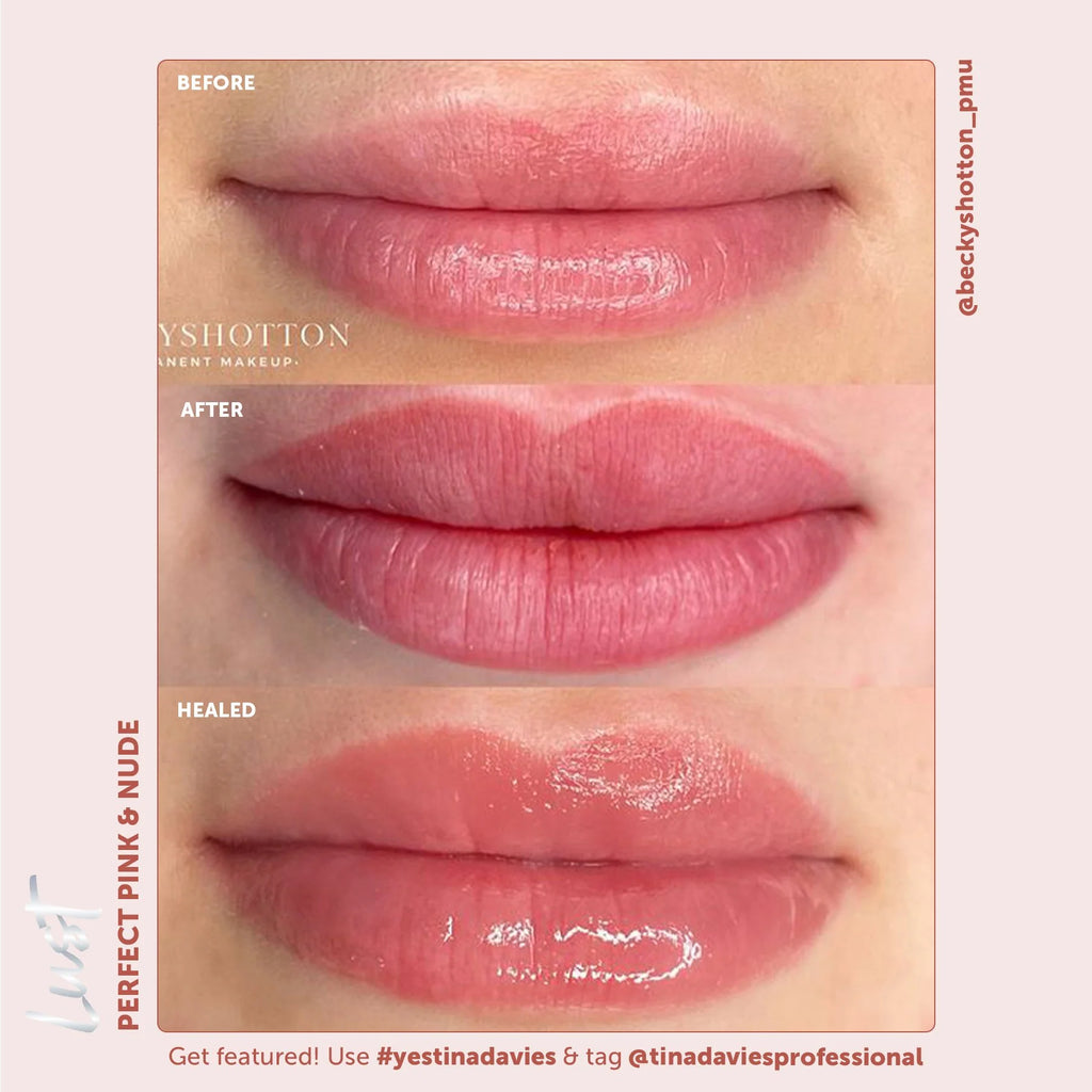 Tina Davies x Perma Blend Lust Lip Pigment Collection 6x15ml – Professional PMU Lip Blush Pigment Set