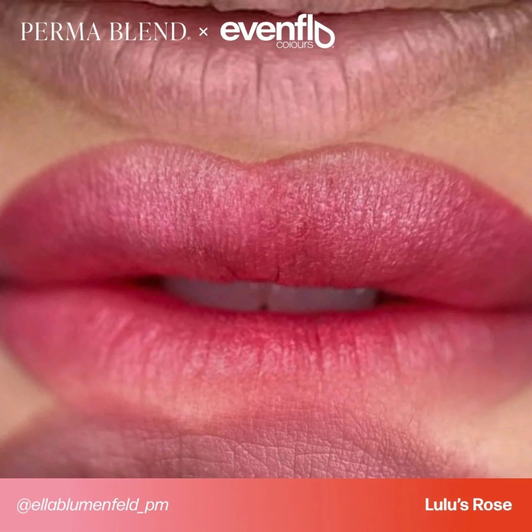 Lip Pigments Set – Evenflo Colours Lip Set | Professional PMU Lip Pigment Shades 5×15ml | Lip Blush Pigments, Lip Neutralization & Colour Correction Pigment Kit | Permanent Makeup Lip Pigment Collection