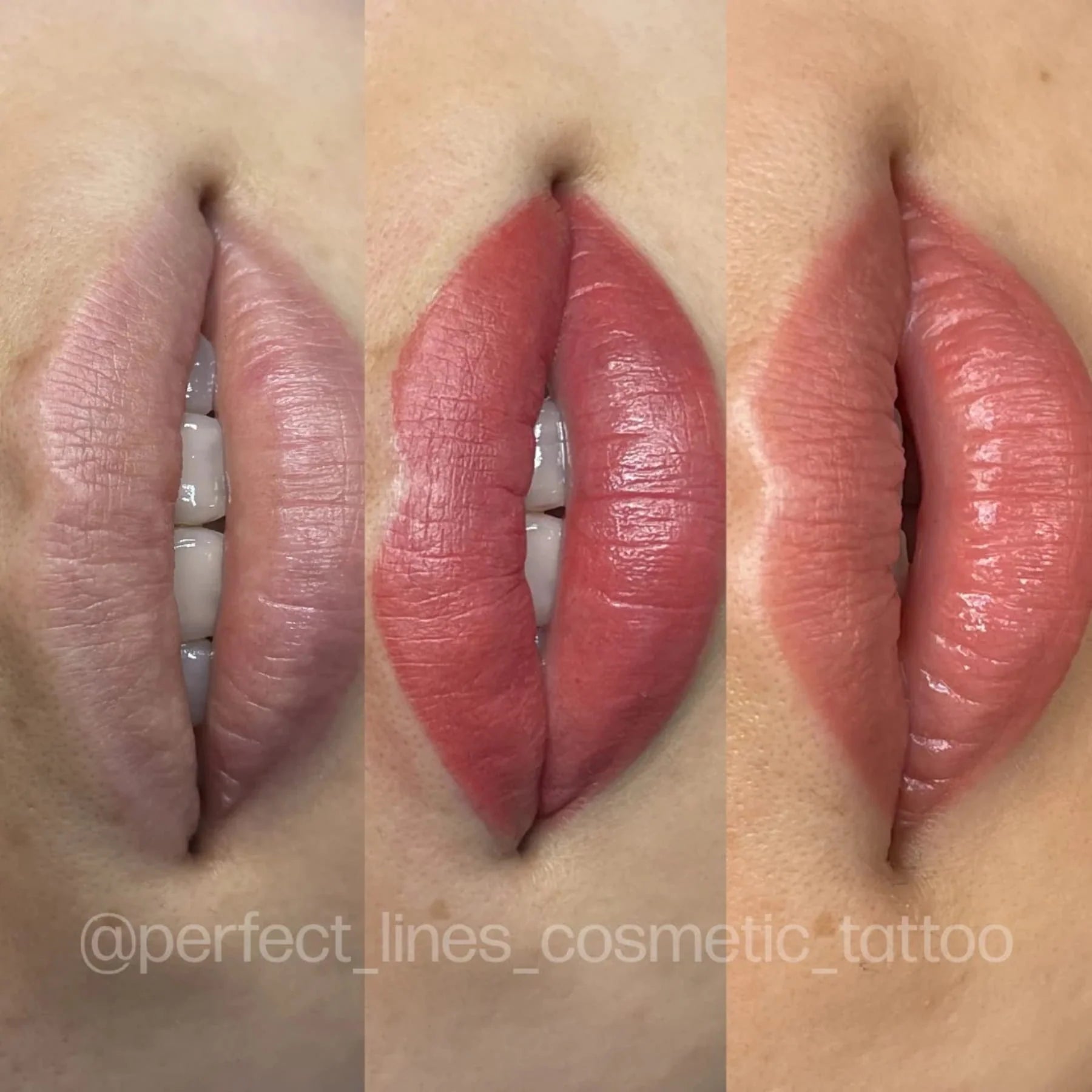 Lip Pigments Set – Evenflo Colours Lip Set | Professional PMU Lip Pigment Shades 5×15ml | Lip Blush Pigments, Lip Neutralization & Colour Correction Pigment Kit | Permanent Makeup Lip Pigment Collection