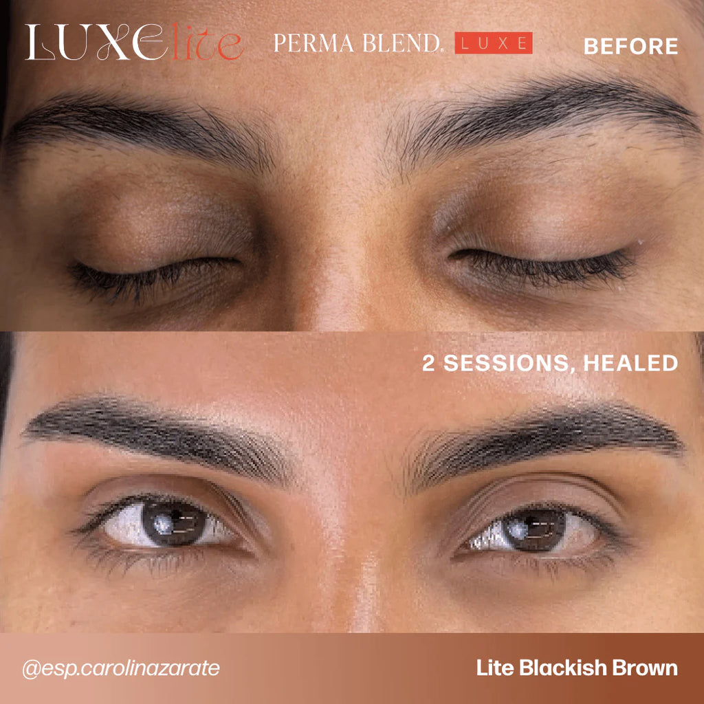 Eyebrow Pigment – Perma Blend LUXE Lite Blackish Brown 15ml | Permanent Makeup SPMU Brow Ink for Nano Brows, Microblading, Ombré Brows & Powder Brows | Professional PMU Pigment