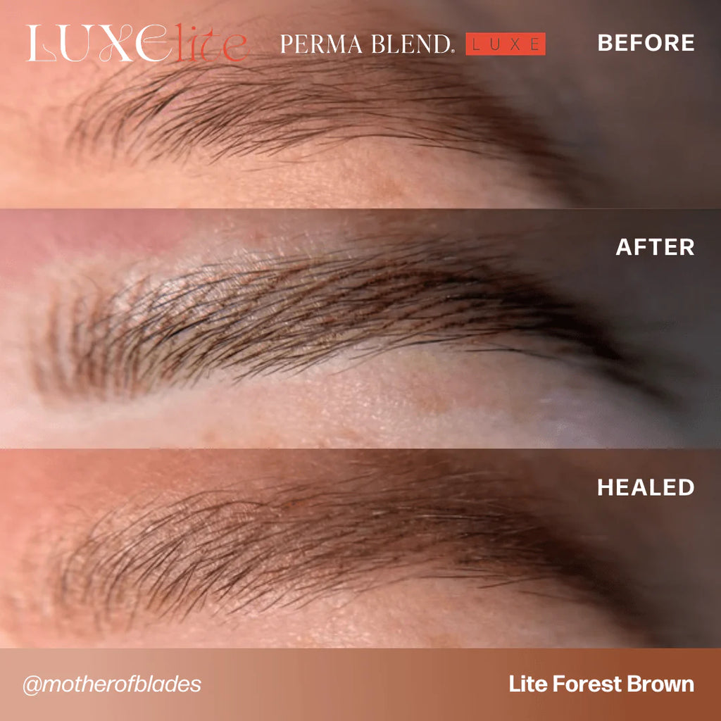 Eyebrow Pigment – Perma Blend LUXE Lite Forest Brown 15ml | Permanent Makeup SPMU Brow Ink for Nano Brows, Microblading, Ombré Brows & Powder Brows | Professional PMU Pigment
