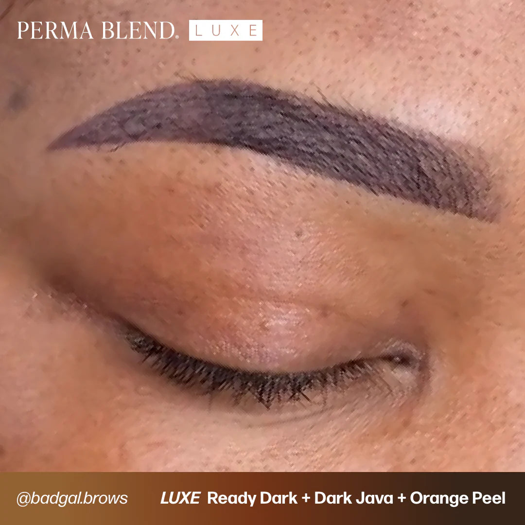 Eyebrow Pigment – Perma Blend LUXE Ready Dark 15ml | Permanent Makeup SPMU Brow Ink for Nano Brows, Microblading, Ombré Brows & Powder Brows | Professional PMU Pigment
