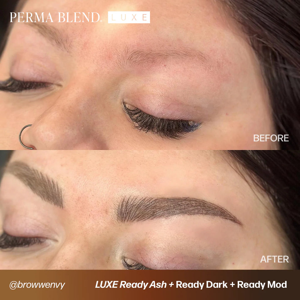 Eyebrow Pigment – Perma Blend LUXE Ready Dark 15ml | Permanent Makeup SPMU Brow Ink for Nano Brows, Microblading, Ombré Brows & Powder Brows | Professional PMU Pigment