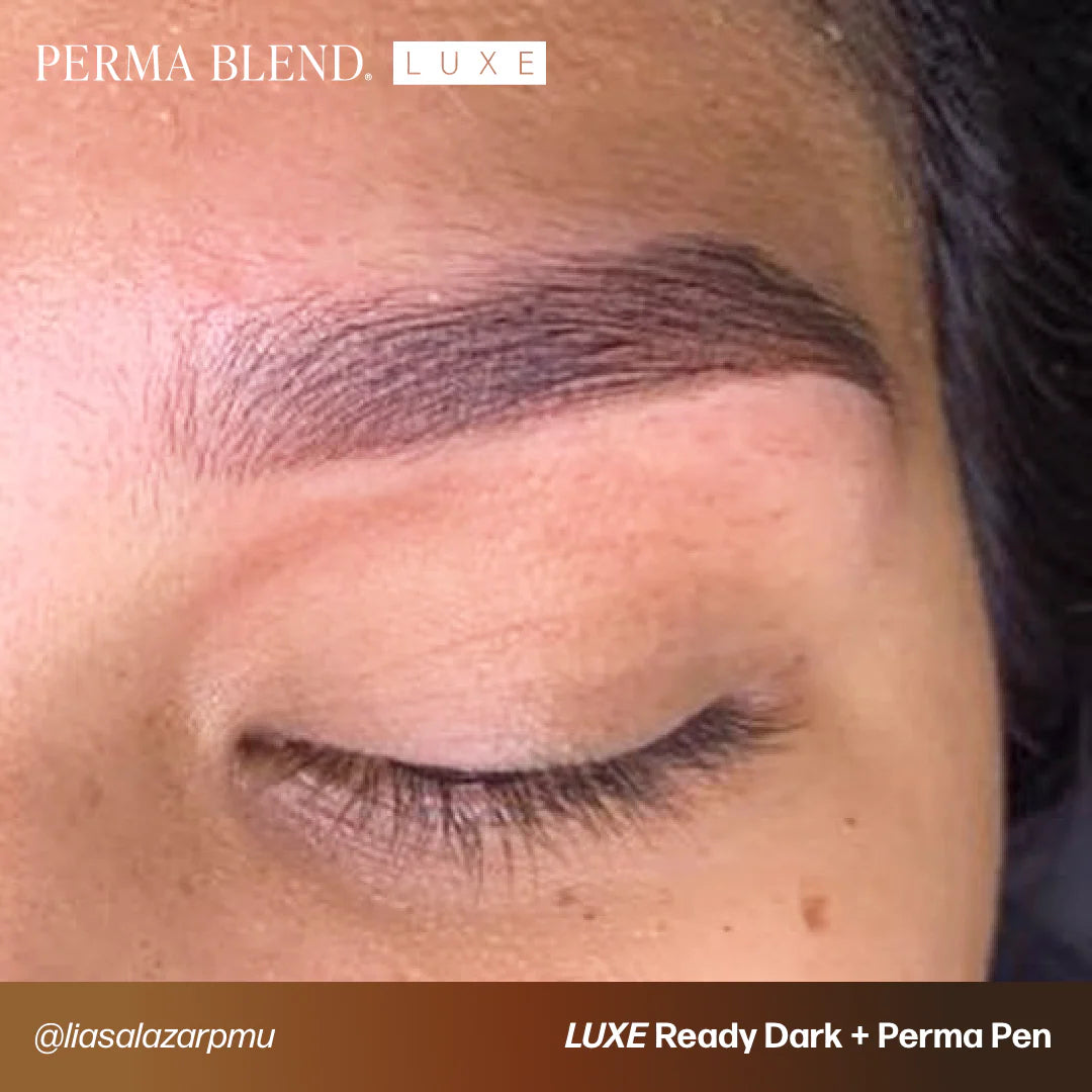 Eyebrow Pigment – Perma Blend LUXE Ready Dark 15ml | Permanent Makeup SPMU Brow Ink for Nano Brows, Microblading, Ombré Brows & Powder Brows | Professional PMU Pigment