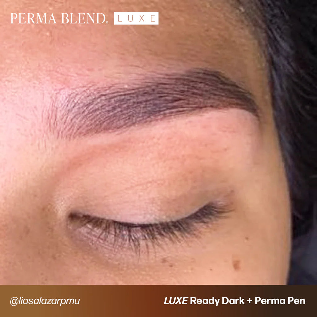 Eyebrow Pigment – Perma Blend LUXE Ready Dark 15ml | Permanent Makeup SPMU Brow Ink for Nano Brows, Microblading, Ombré Brows & Powder Brows | Professional PMU Pigment