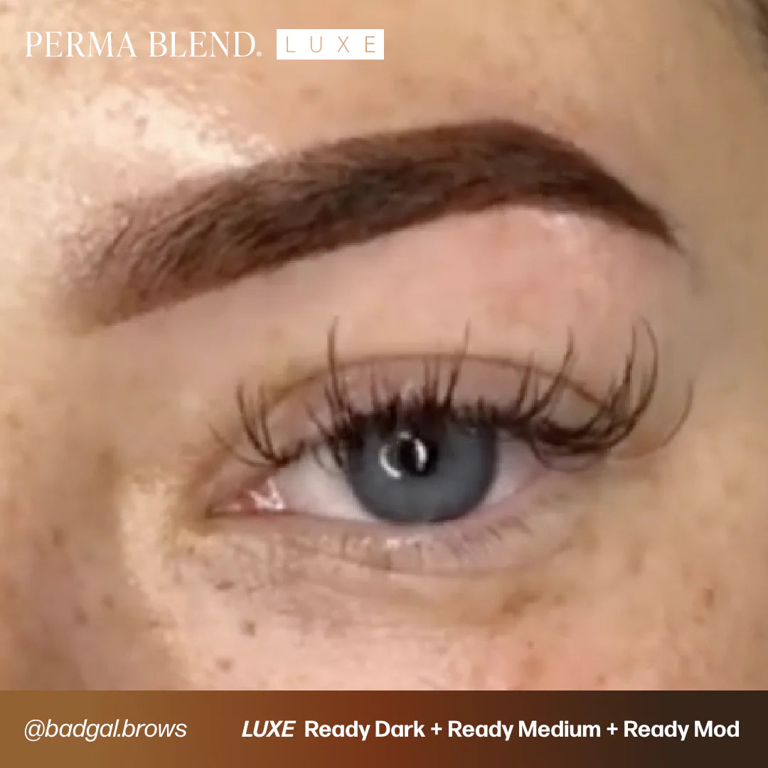 Eyebrow Pigment – Perma Blend LUXE Ready Dark 15ml | Permanent Makeup SPMU Brow Ink for Nano Brows, Microblading, Ombré Brows & Powder Brows | Professional PMU Pigment
