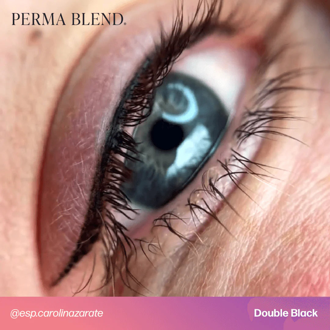 Eyeliner Pigment – Perma Blend Double Black 15ml | Permanent Makeup SPMU Eyebrow Ink for Microblading, Ombré Brows & Powder Brows | Professional Brow Pigment
