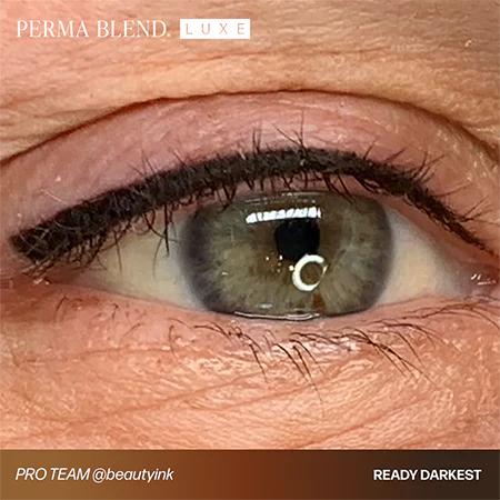 Eyebrow Pigment – Perma Blend LUXE Ready Darkest 15ml | Permanent Makeup SPMU Brow Ink for Nano Brows, Microblading, Ombré Brows & Powder Brows | Professional PMU Pigment