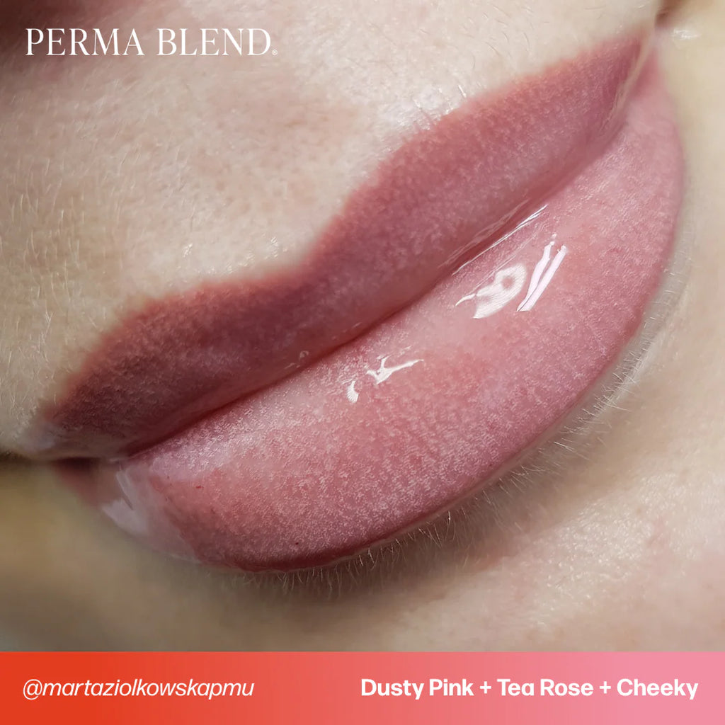 Lip Pigment – Perma Blend Lip Pigment Cheeky 15ml | Lip Blush Pigment, Lip Tattoo Ink, SPMU Lip Color, Semi Permanent Makeup Lip Shade