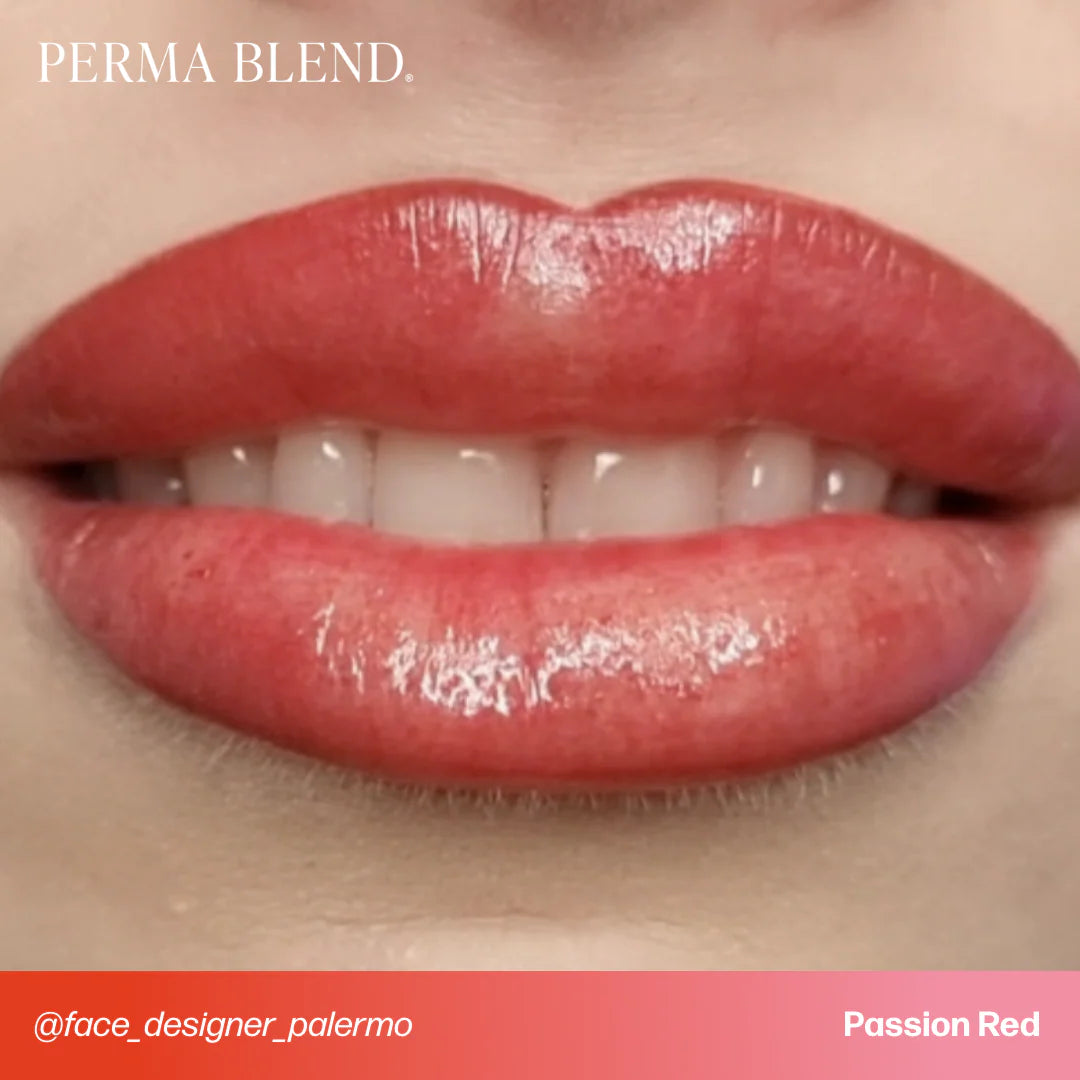 Lip Pigment Set – Perma Blend Signature Lip Set 8x15ml | Professional PMU Lip Tattoo Pigments for Lip Blush, Cosmetic Tattooing, Lip Neutralization & Permanent Makeup