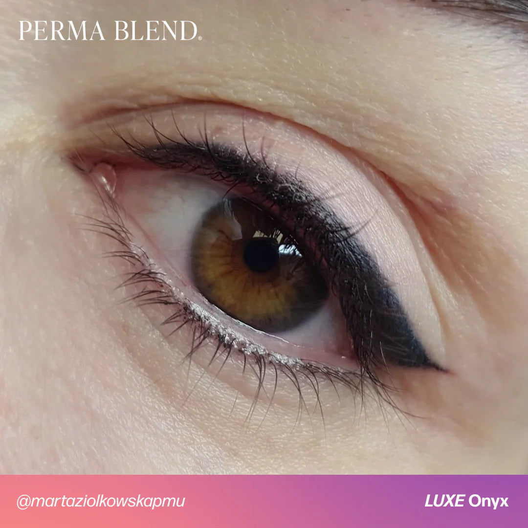 Eyeliner Pigment – Perma Blend LUXE Onyx 15ml | Permanent Makeup SPMU Eyebrow Ink for Microblading, Ombré Brows & Powder Brows | Cool Brown Professional Pigment