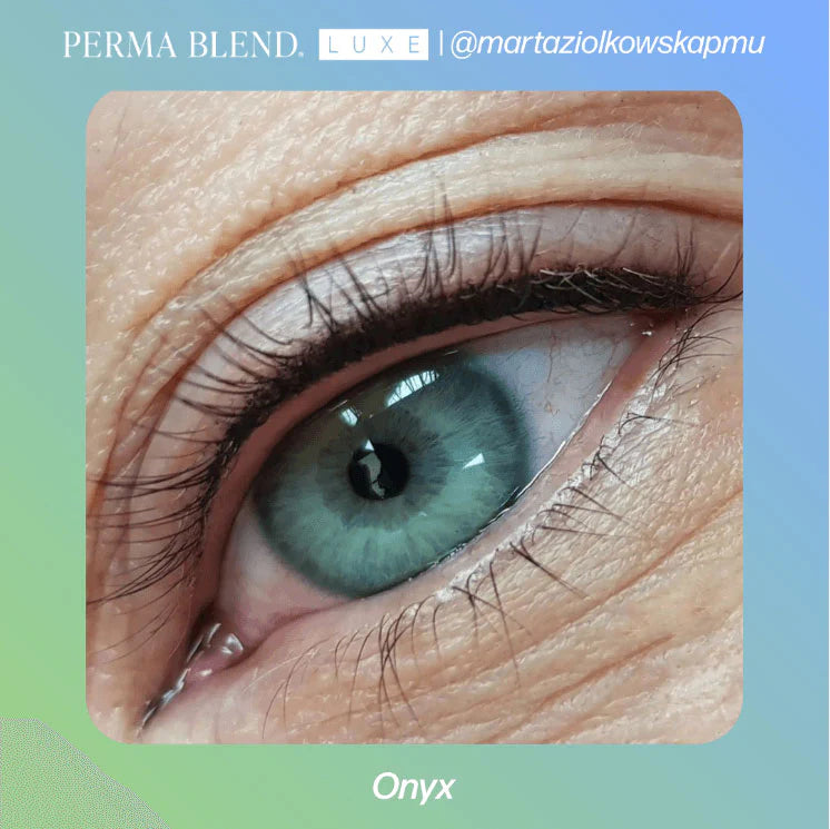 Eyeliner Pigment – Perma Blend LUXE Onyx 15ml | Permanent Makeup SPMU Eyebrow Ink for Microblading, Ombré Brows & Powder Brows | Cool Brown Professional Pigment