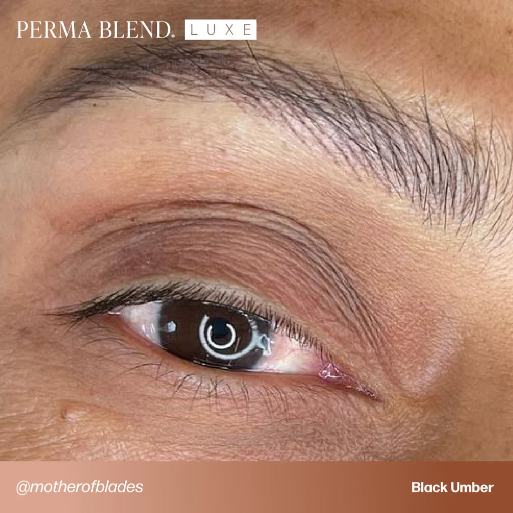 Eyebrow Pigment – Perma Blend LUXE Black Umber 15ml | Premium Permanent Makeup Brow Ink for Brow Tattooing, Microblading, Nano Brows & PMU Artists