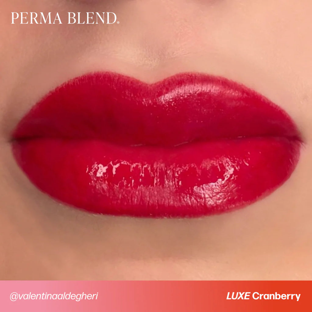 Lip Pigment – Perma Blend LUXE Lip Pigment Cranberry 15ml | Lip Blush Pigment, Lip Tattoo Ink, SPMU Lip Color, Semi Permanent Makeup Lip Shade