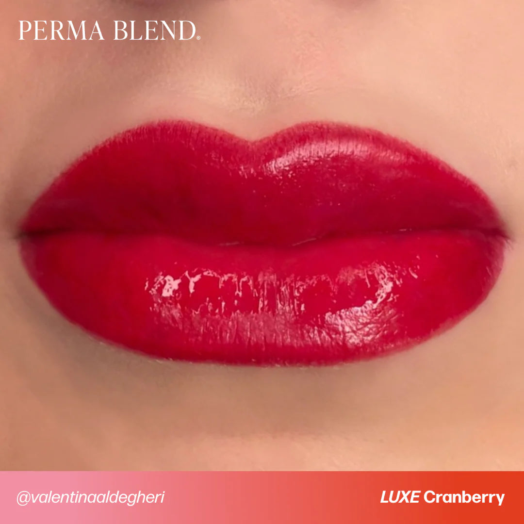 Lip Pigment – Perma Blend LUXE Lip Pigment Cranberry 15ml | Lip Blush Pigment, Lip Tattoo Ink, SPMU Lip Color, Semi Permanent Makeup Lip Shade