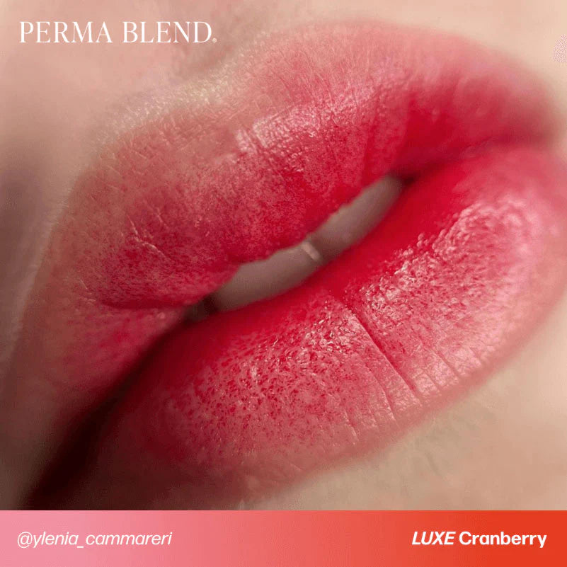 Lip Pigment – Perma Blend LUXE Lip Pigment Cranberry 15ml | Lip Blush Pigment, Lip Tattoo Ink, SPMU Lip Color, Semi Permanent Makeup Lip Shade