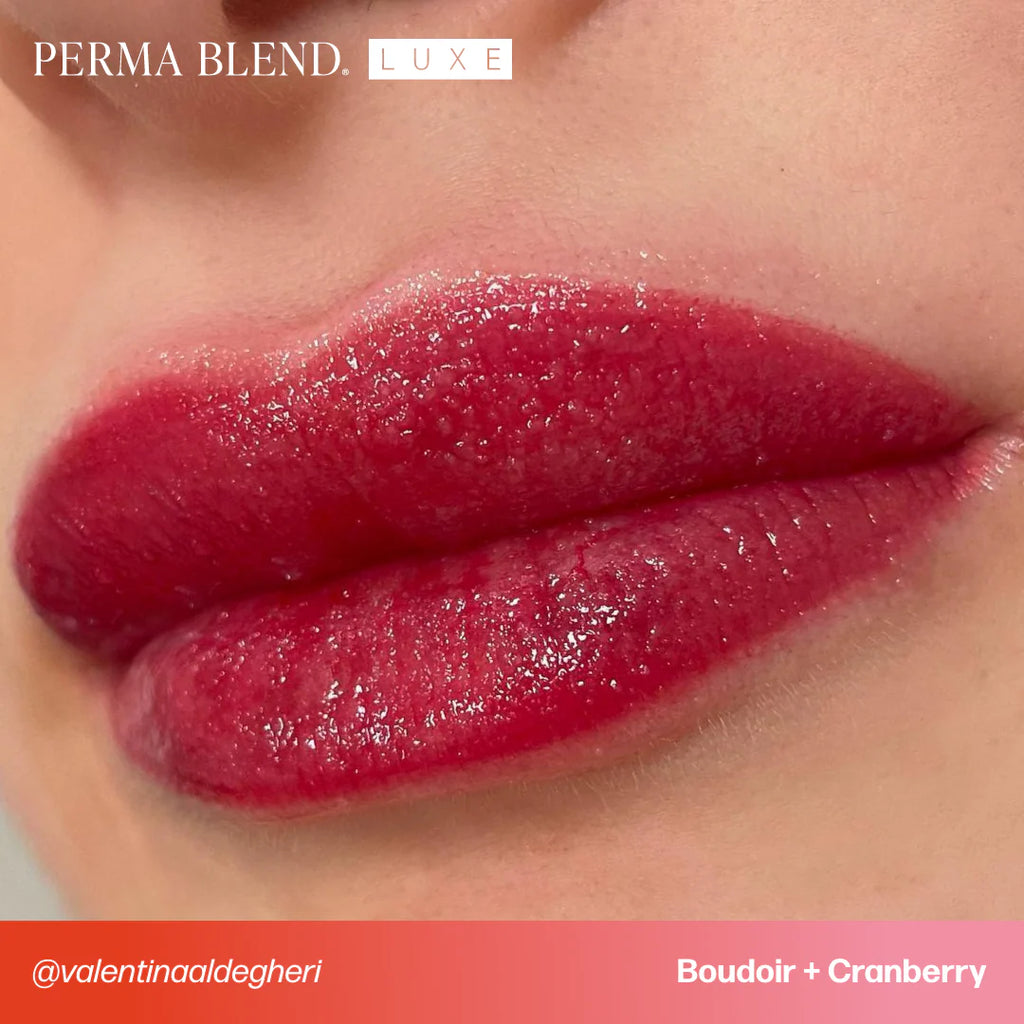 Lip Pigment – Perma Blend LUXE Lip Pigment Cranberry 15ml | Lip Blush Pigment, Lip Tattoo Ink, SPMU Lip Color, Semi Permanent Makeup Lip Shade
