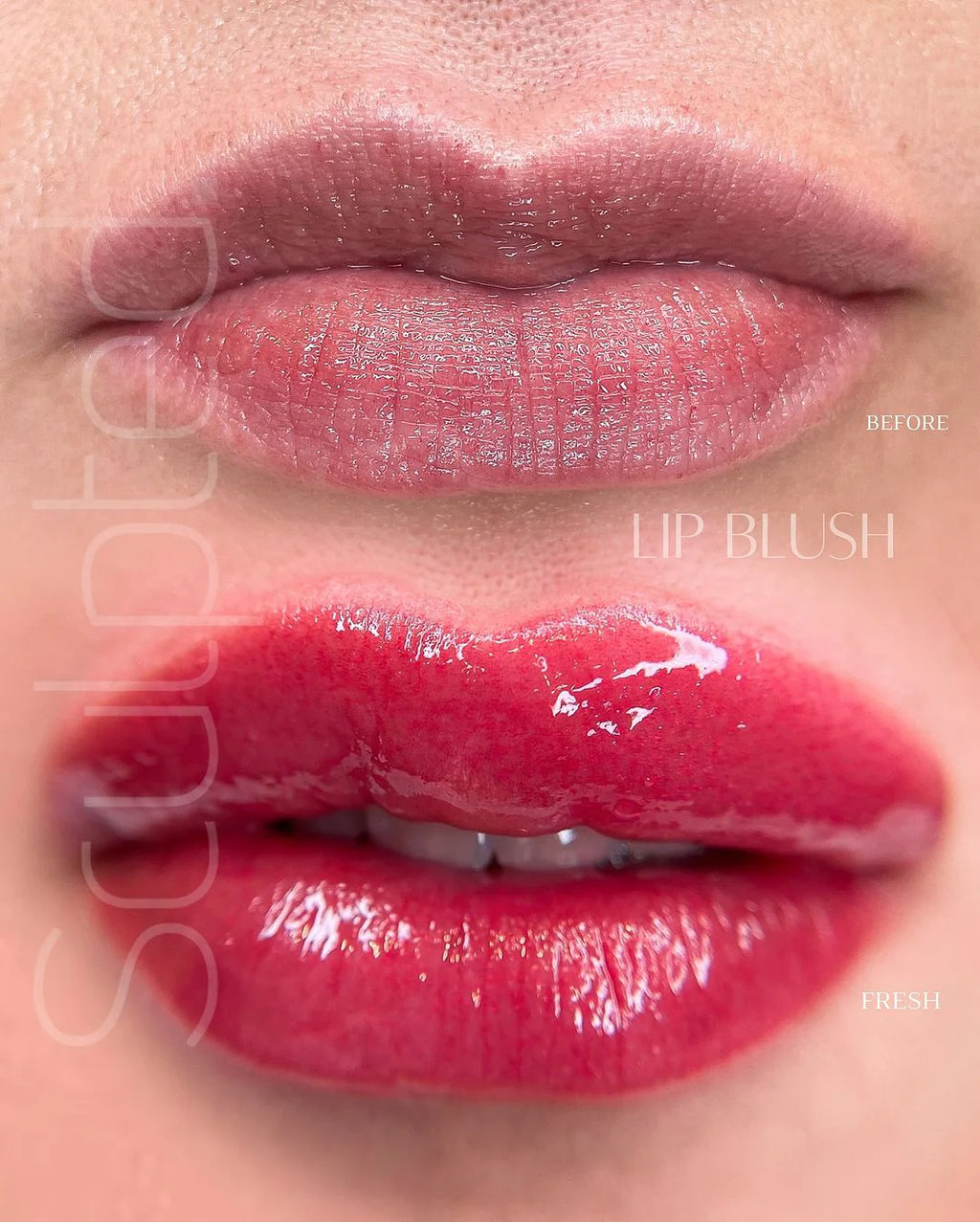 Lip Pigment – Perma Blend LUXE Lip Pigment Lala (Carla Ricciardone Enhance) 15ml | Lip Blush Pigment, Lip Tattoo Ink, SPMU Lip Color, Semi Permanent Makeup Lip Shade
