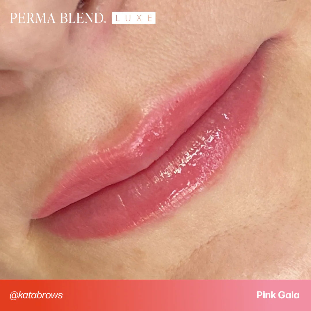 Lip Pigment – Perma Blend LUXE Lip Pigment Pink Gala 15ml | Lip Blush Pigment, Lip Tattoo Ink, SPMU Lip Color, Semi Permanent Makeup Lip Shade