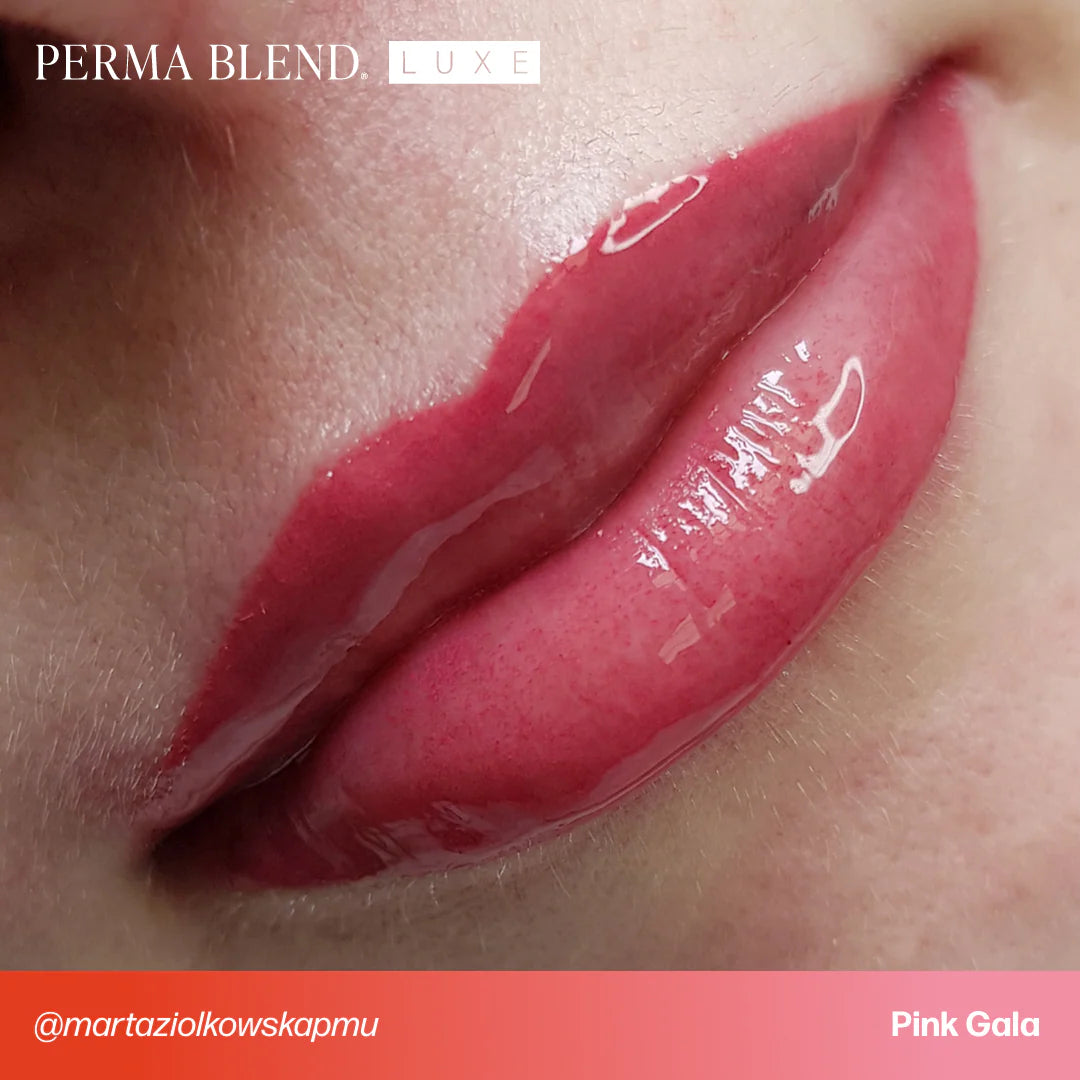 Lip Pigment – Perma Blend LUXE Lip Pigment Pink Gala 15ml | Lip Blush Pigment, Lip Tattoo Ink, SPMU Lip Color, Semi Permanent Makeup Lip Shade