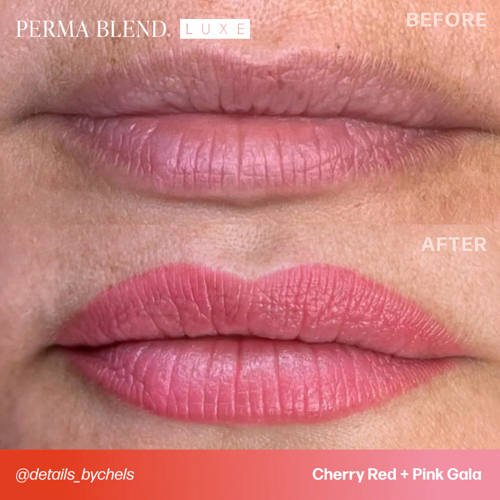 Lip Pigment – Perma Blend LUXE Lip Pigment Pink Gala 15ml | Lip Blush Pigment, Lip Tattoo Ink, SPMU Lip Color, Semi Permanent Makeup Lip Shade