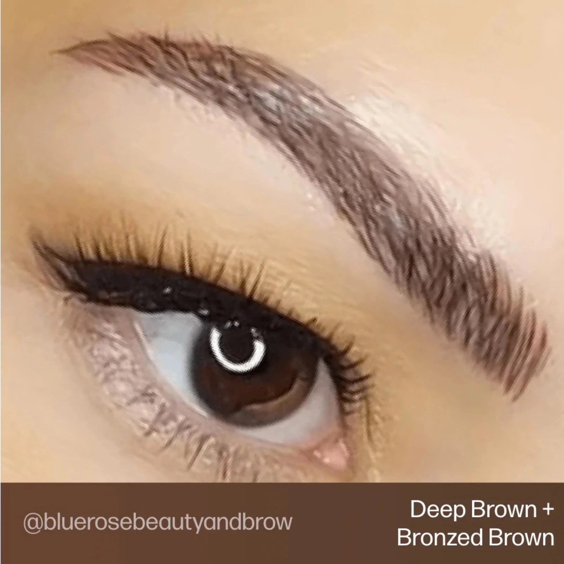 Eyebrow Pigments – Bronzed Brown 15ml Evenflo Colours | Blonde 2 Brunette Singles | Perma Blend Luxe Brow Pigments | Professional Permanent Makeup Brow Ink for Microblading, Ombré Brows & Powder Brows
