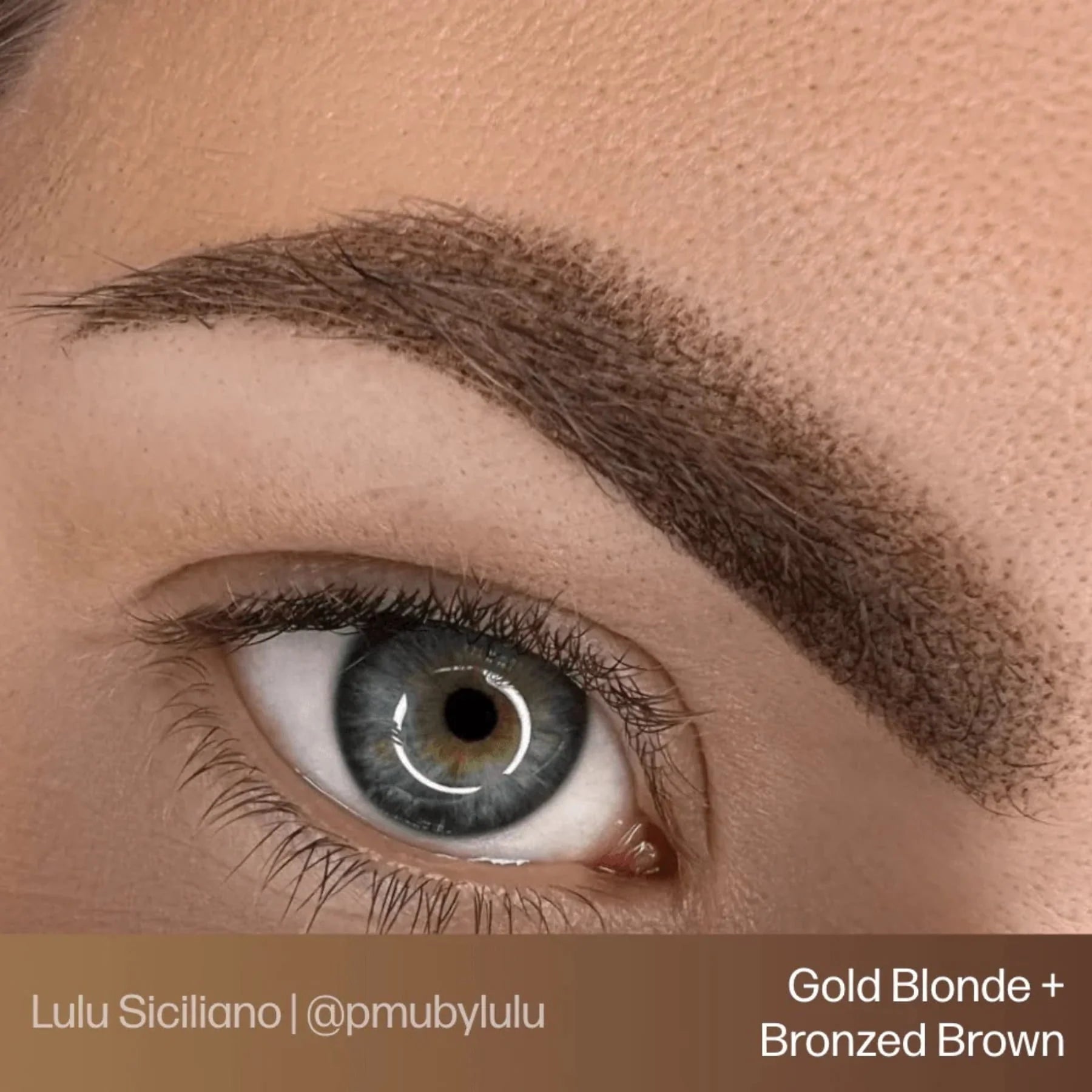 Eyebrow Pigments – Bronzed Brown 15ml Evenflo Colours | Blonde 2 Brunette Singles | Perma Blend Luxe Brow Pigments | Professional Permanent Makeup Brow Ink for Microblading, Ombré Brows & Powder Brows