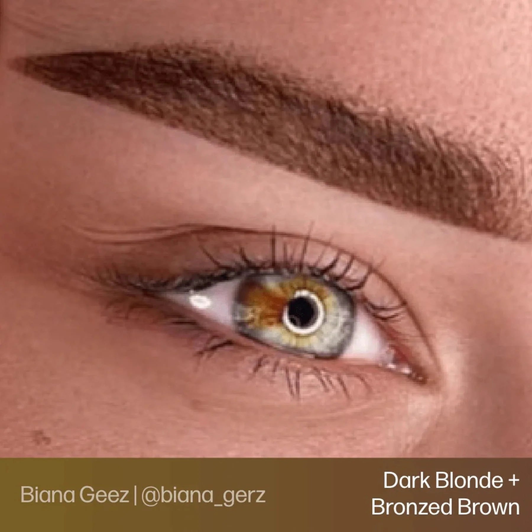 Eyebrow Pigments – Bronzed Brown 15ml Evenflo Colours | Blonde 2 Brunette Singles | Perma Blend Luxe Brow Pigments | Professional Permanent Makeup Brow Ink for Microblading, Ombré Brows & Powder Brows