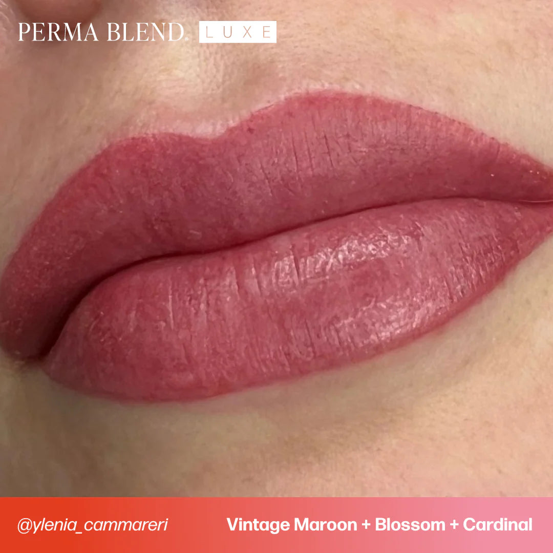 Lip Pigment – Perma Blend LUXE Lip Pigment Cardinal 15ml | Lip Blush Pigment, Lip Tattoo Ink, SPMU Lip Color, Semi Permanent Makeup Lip Shade